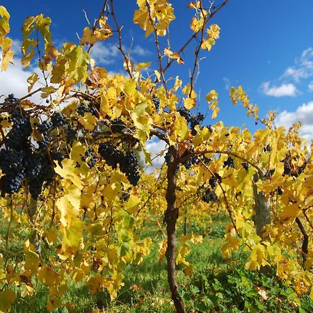 Novotel Barossa Valley Resort Роуленд-Флэт Экстерьер фото