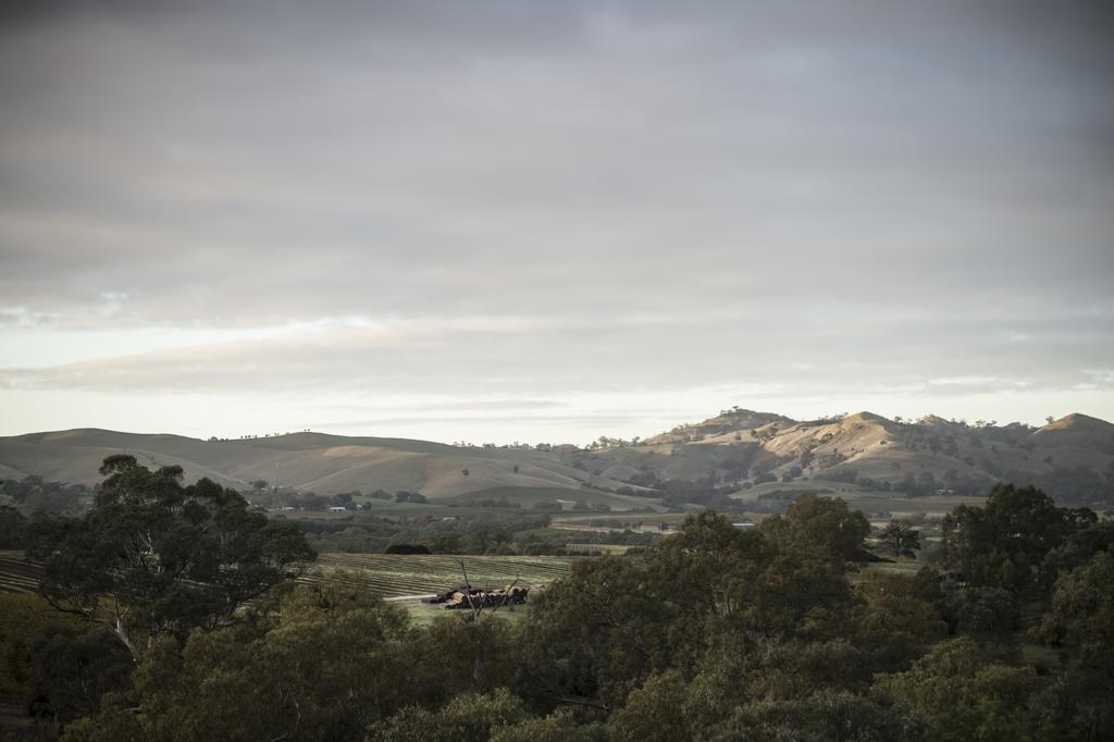 Novotel Barossa Valley Resort Роуленд-Флэт Экстерьер фото